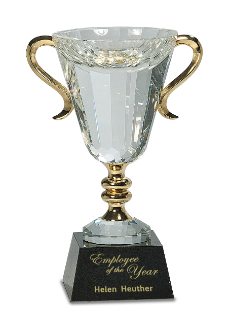 Silver Frontier Series Large Metal Cup Cups Award Trophy 6 sizes FREE Engraving 