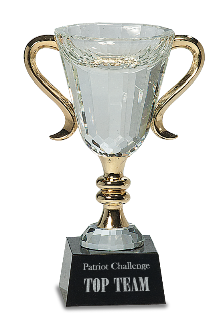 Free Engraving 8" Gold & Silver Cup Trophy Award 