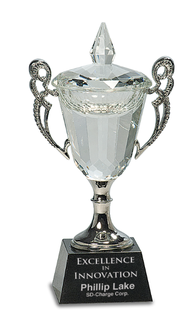 8" Gold & Silver Cup Trophy Award Free Engraving 