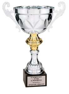 6C6603-D silve metal cup black marble base