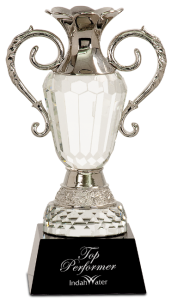 CRY062L LARGE CRYSTAL CUP SILVER TRIM AWARD 11